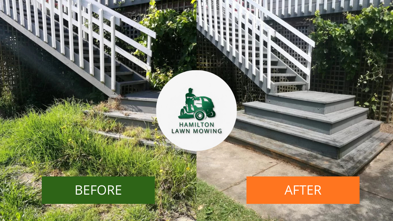 Backyard cleanup before and after