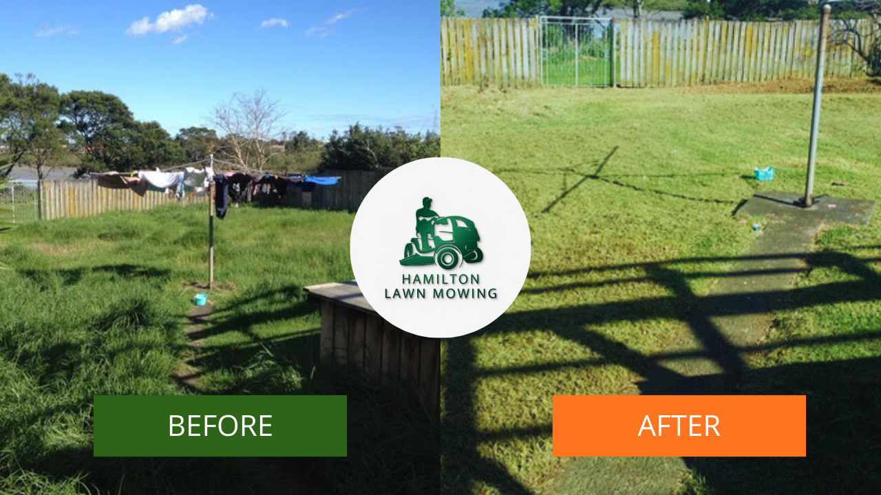 Backyard cleanup before and after