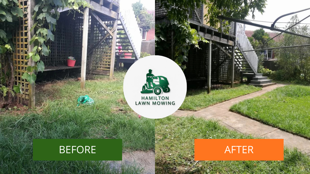 Backyard cleanup before and after