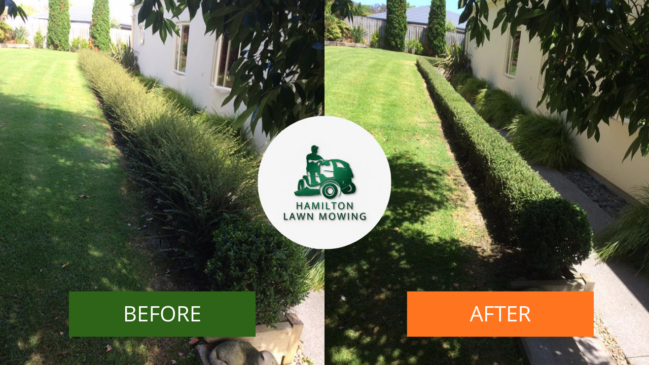 Hedge trimming before and after